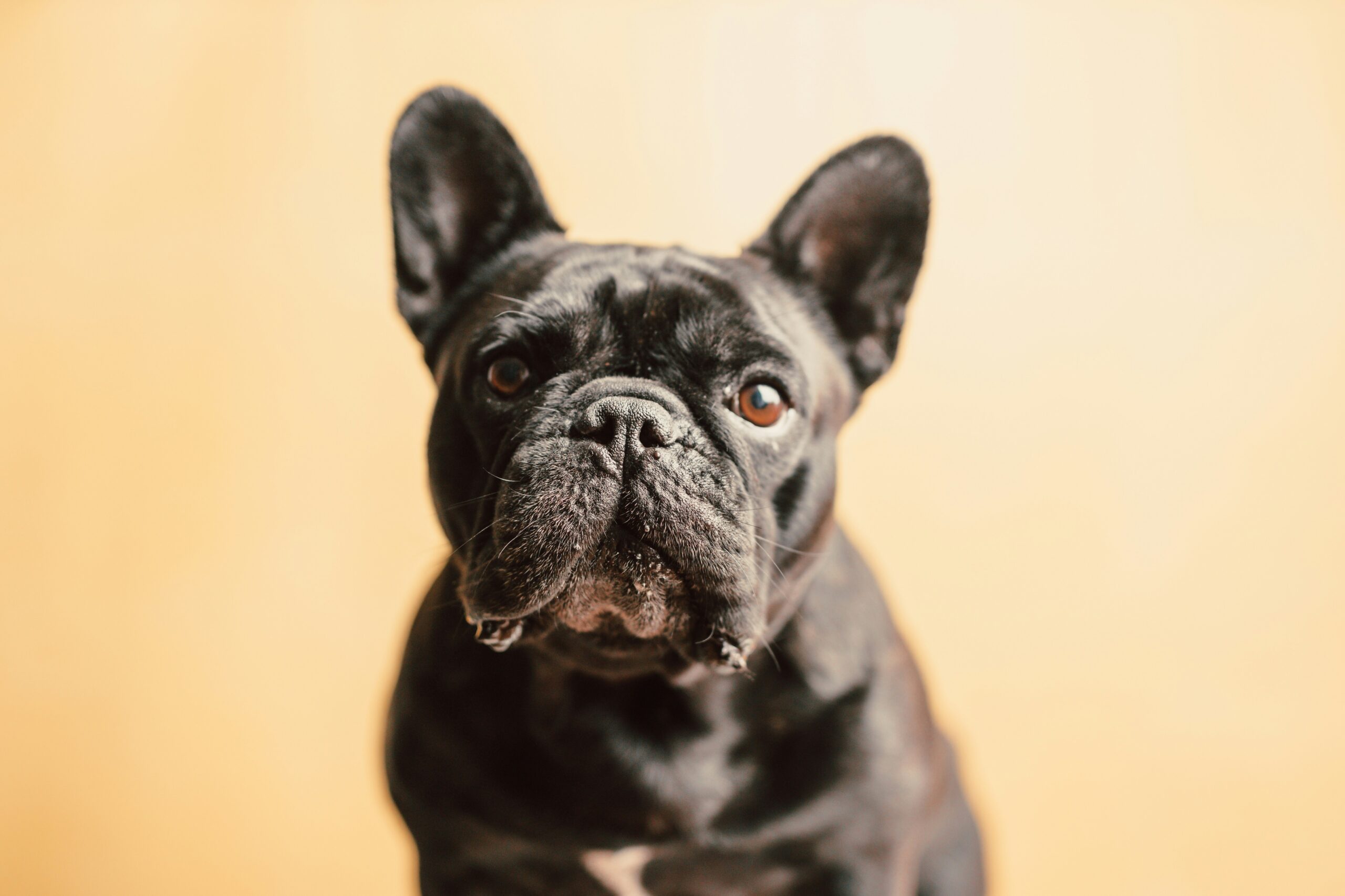 a c e nsh9oqsky unsplash