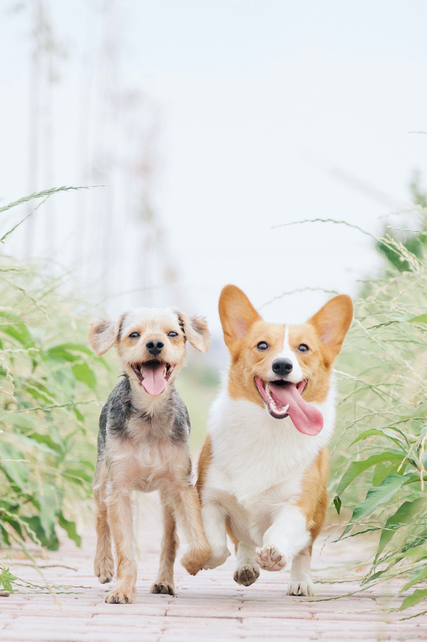 alvan nee 1vgfqdcux 4 unsplash