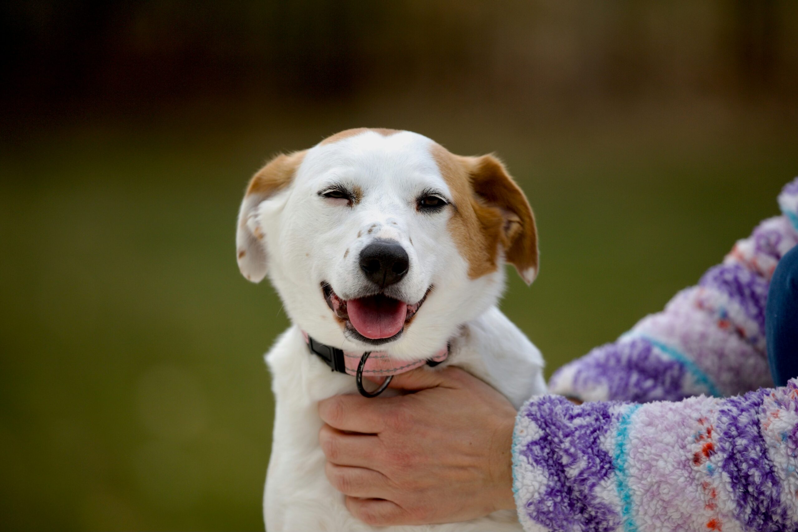 brian kelly bdmfkfkxjzy unsplash (1)