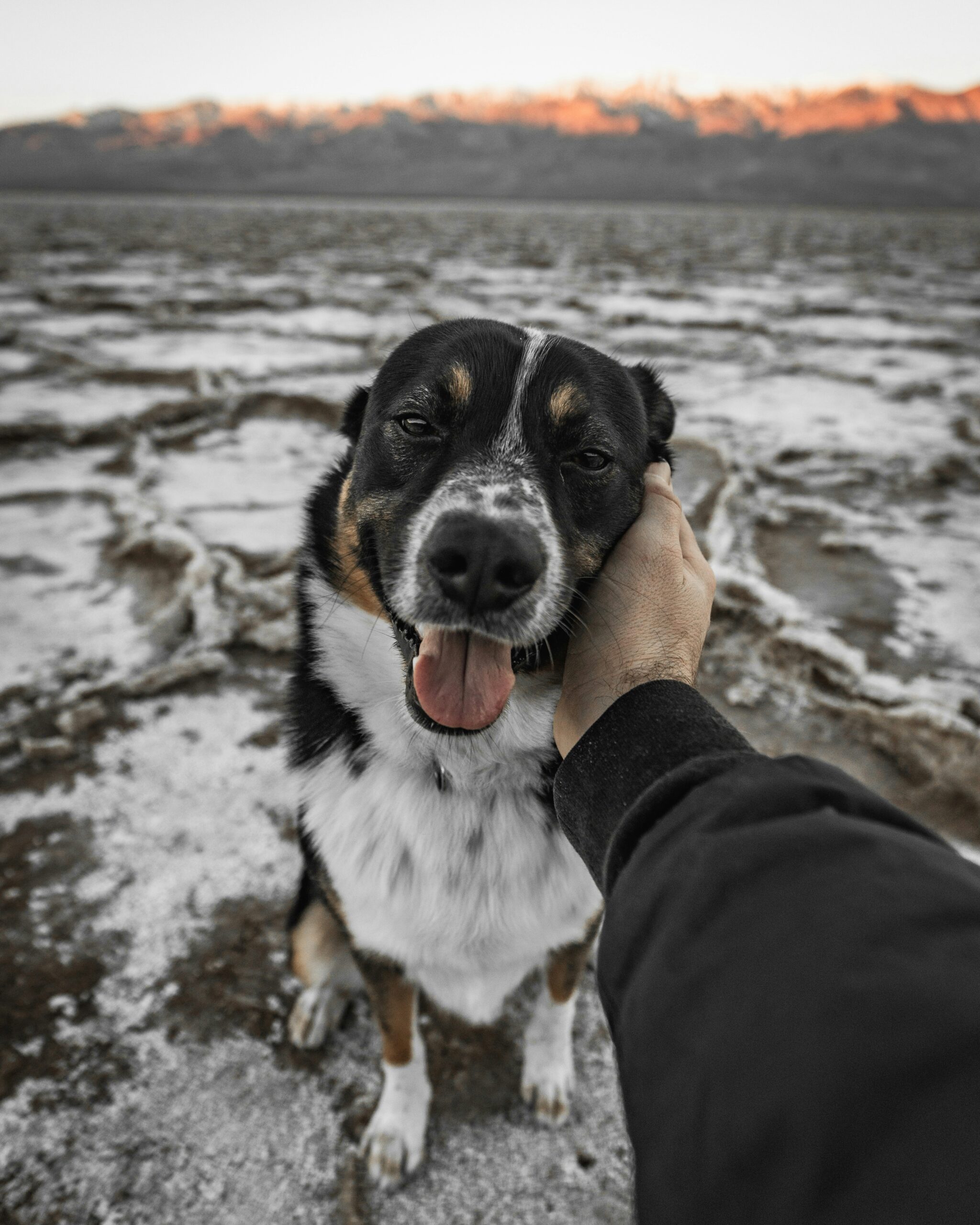 daniel lincoln qqyuokhhezi unsplash
