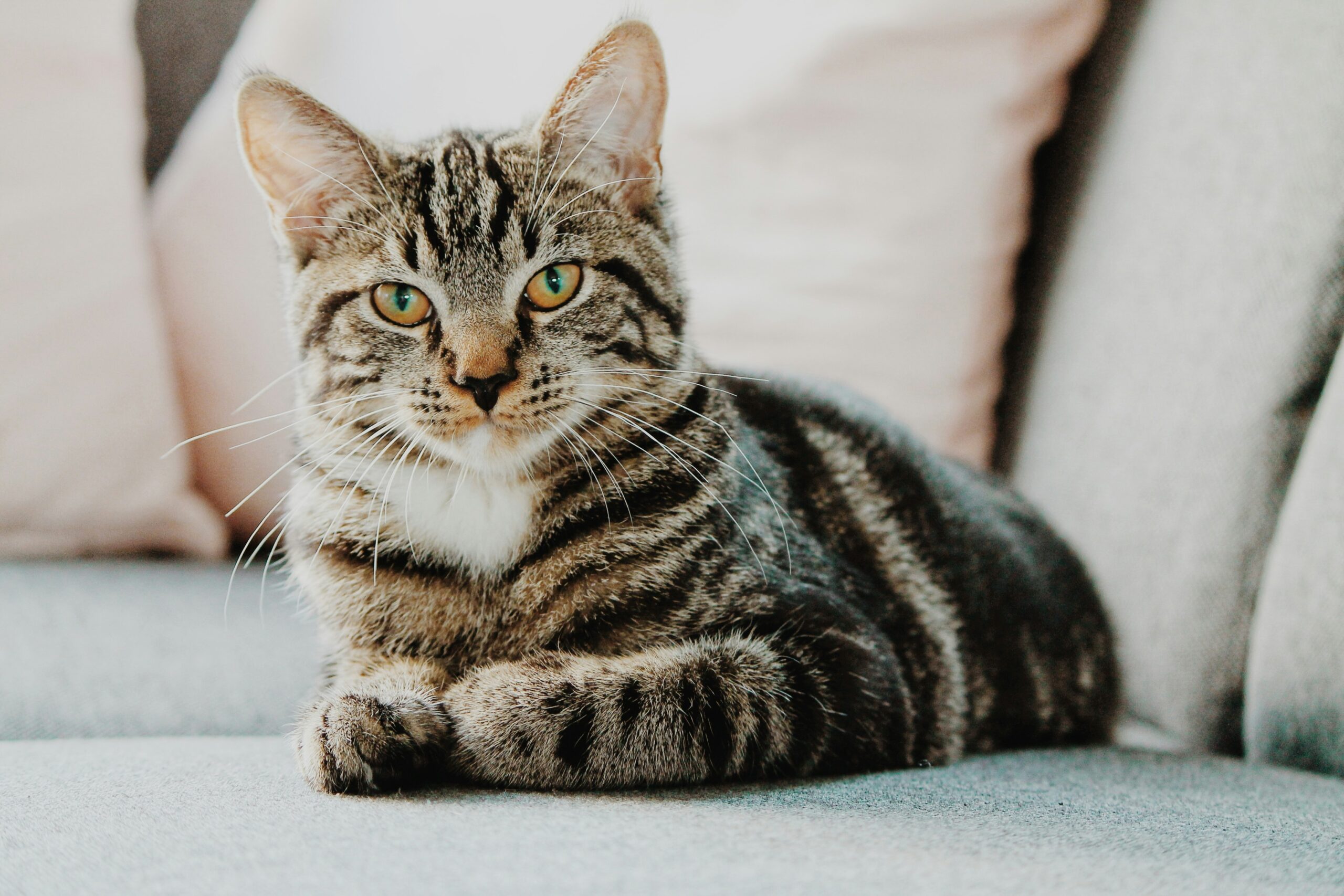 erik jan leusink ibpxglgjimi unsplash