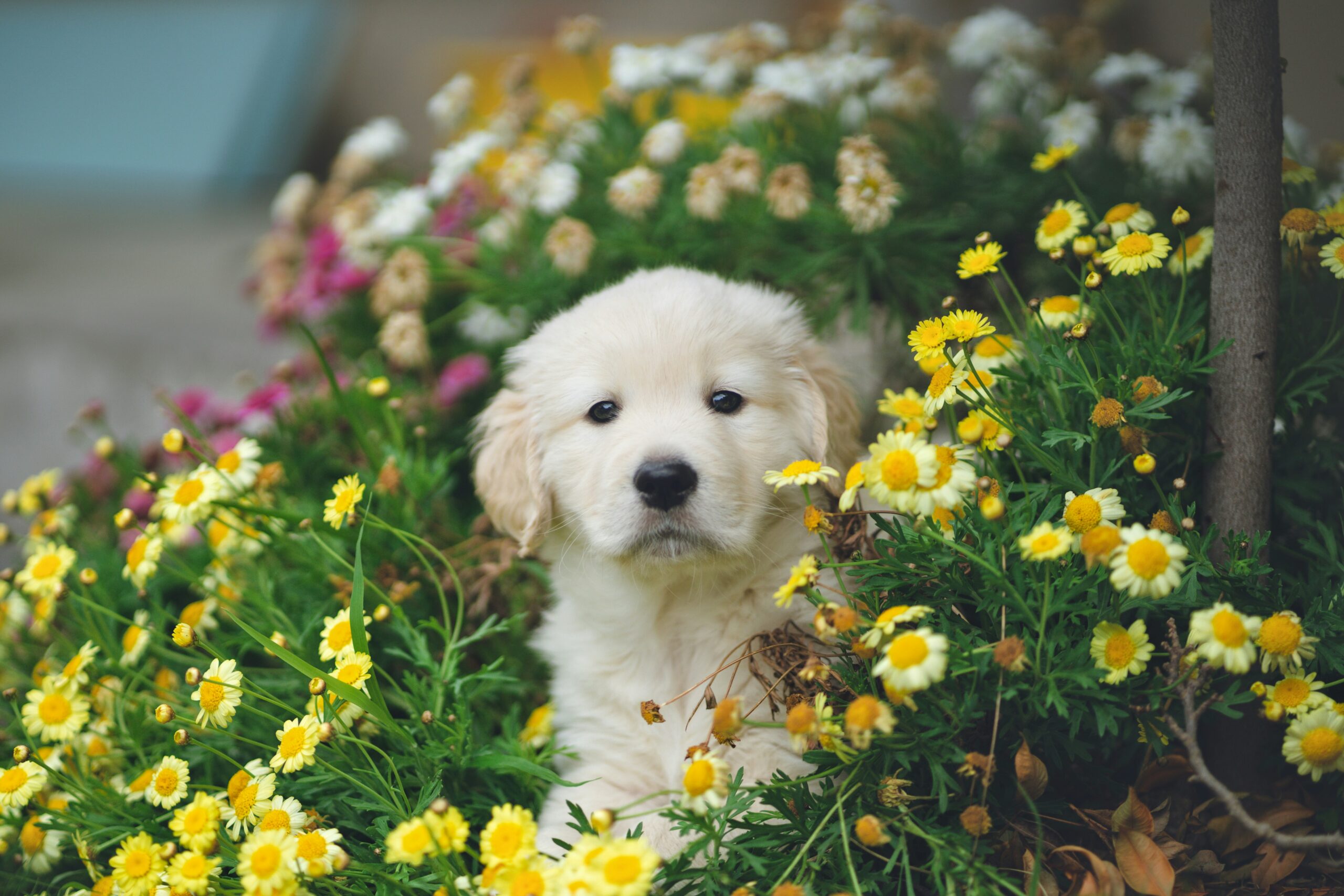 hendo wang dsgeubajpwc unsplash