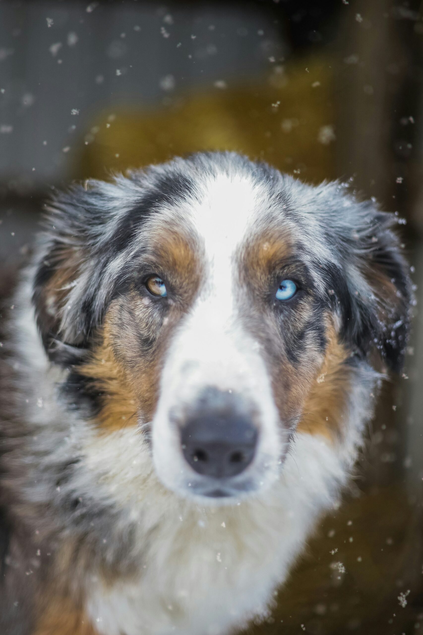 jason hawke crp3n85j0e8 unsplash
