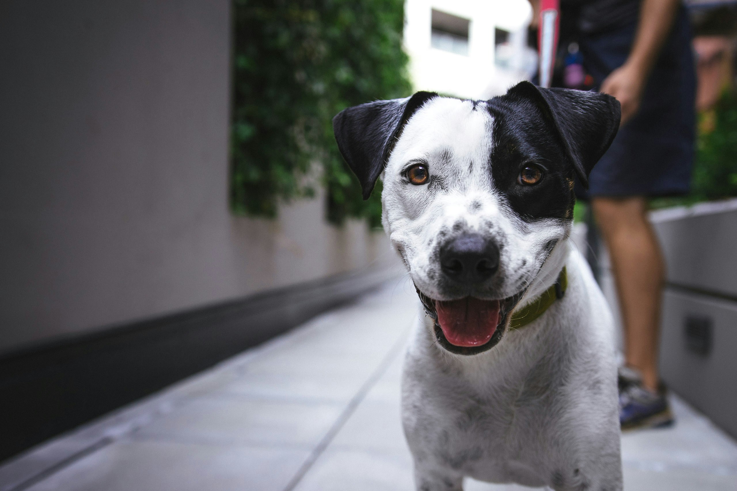 justin veenema nh1d0xx6ldk unsplash