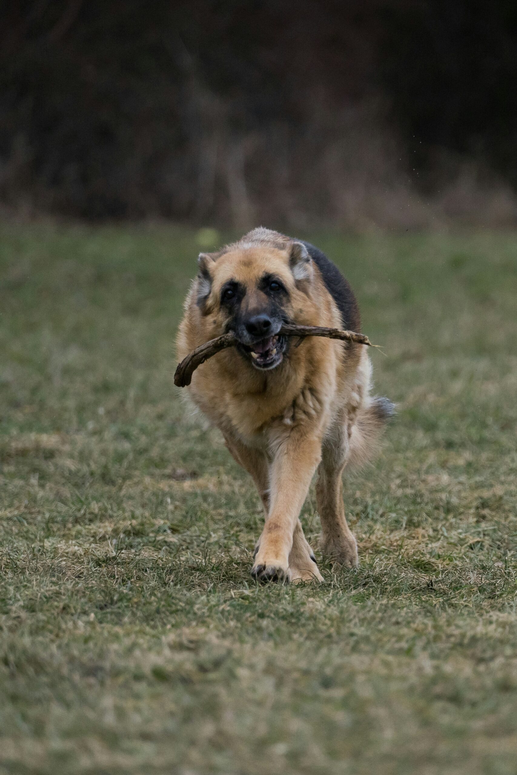 kanashi 8bvfc39hnwo unsplash