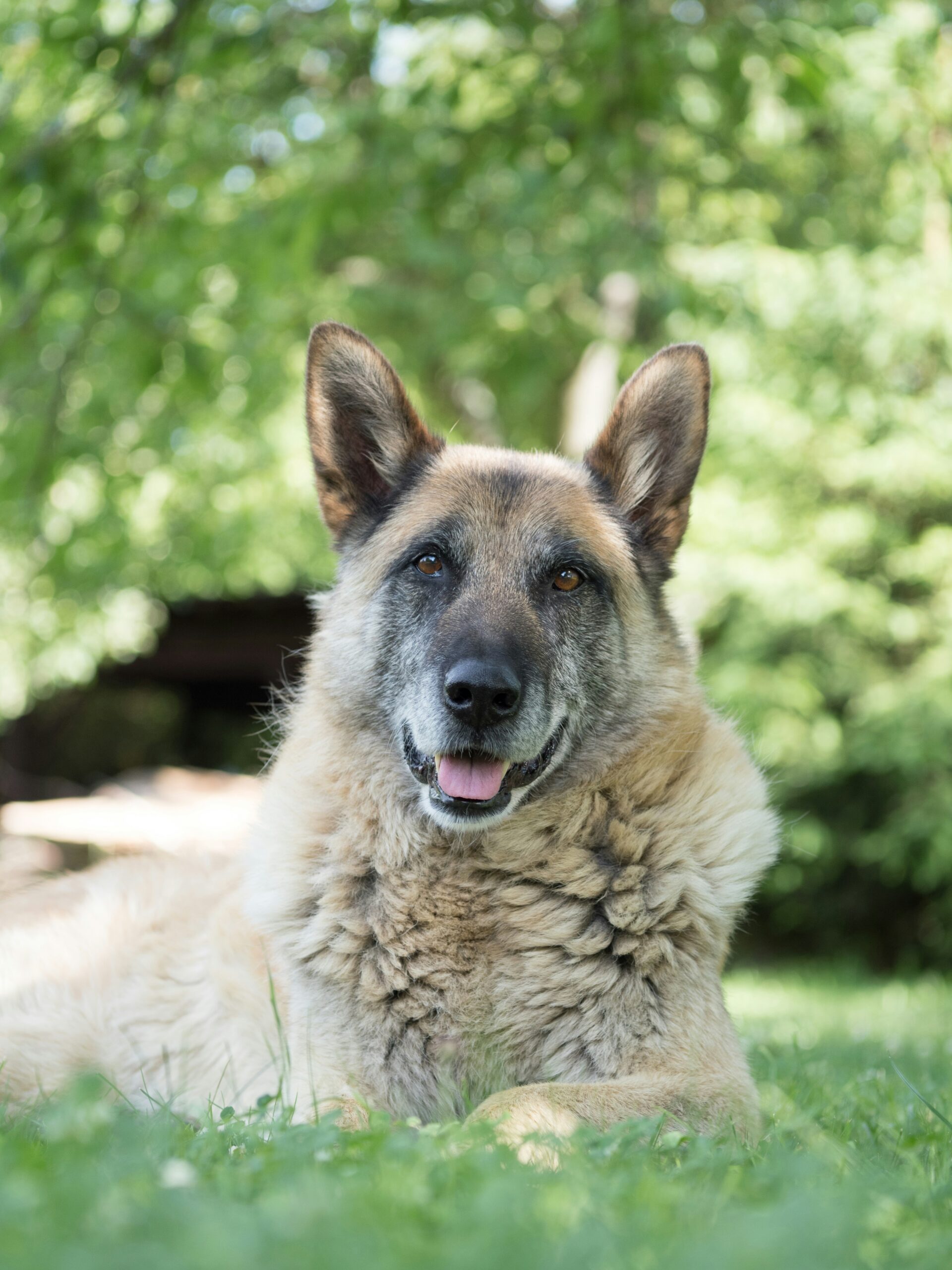 kanashi xy7slx9zuvm unsplash