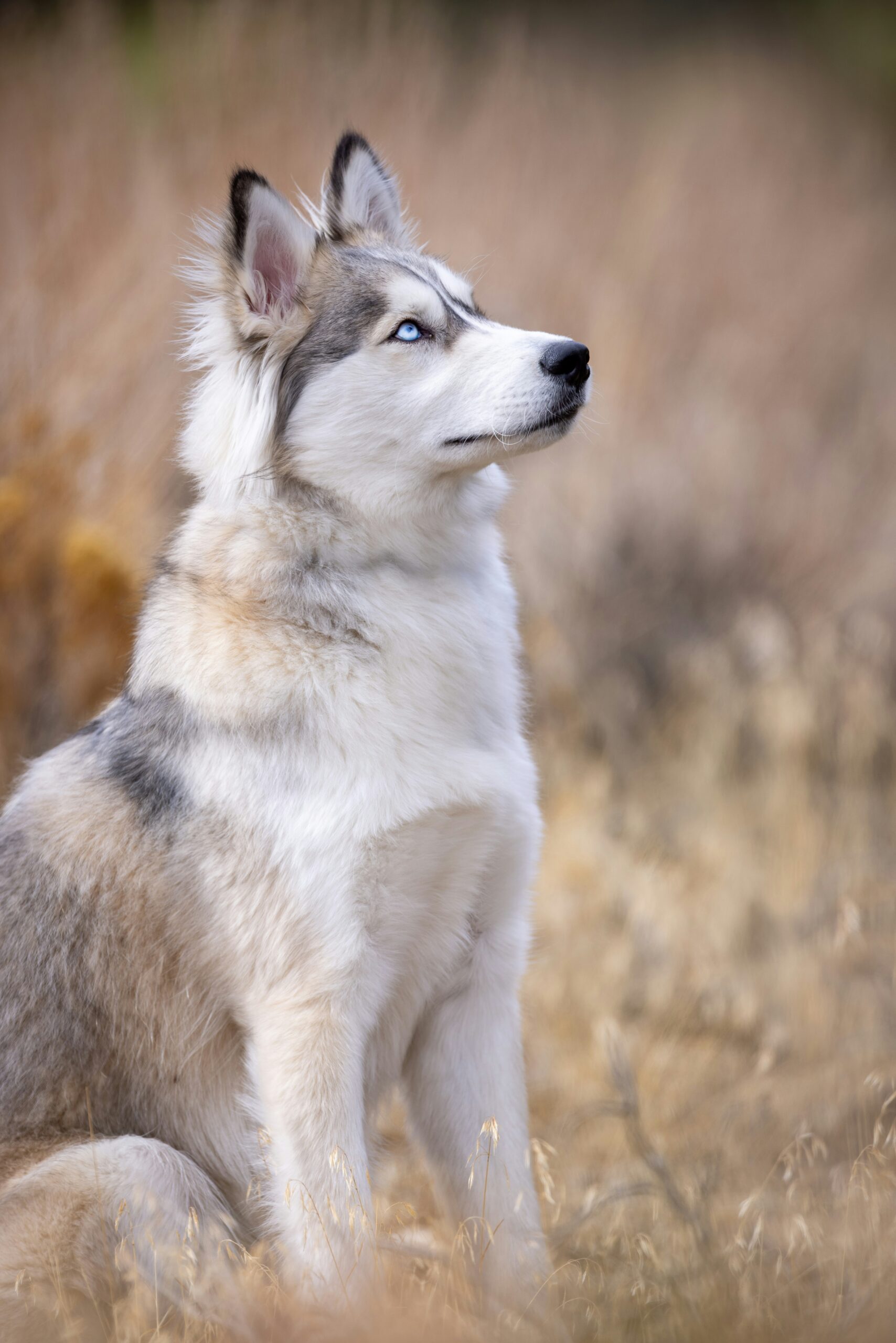 matt bango wkzawg8zd u unsplash