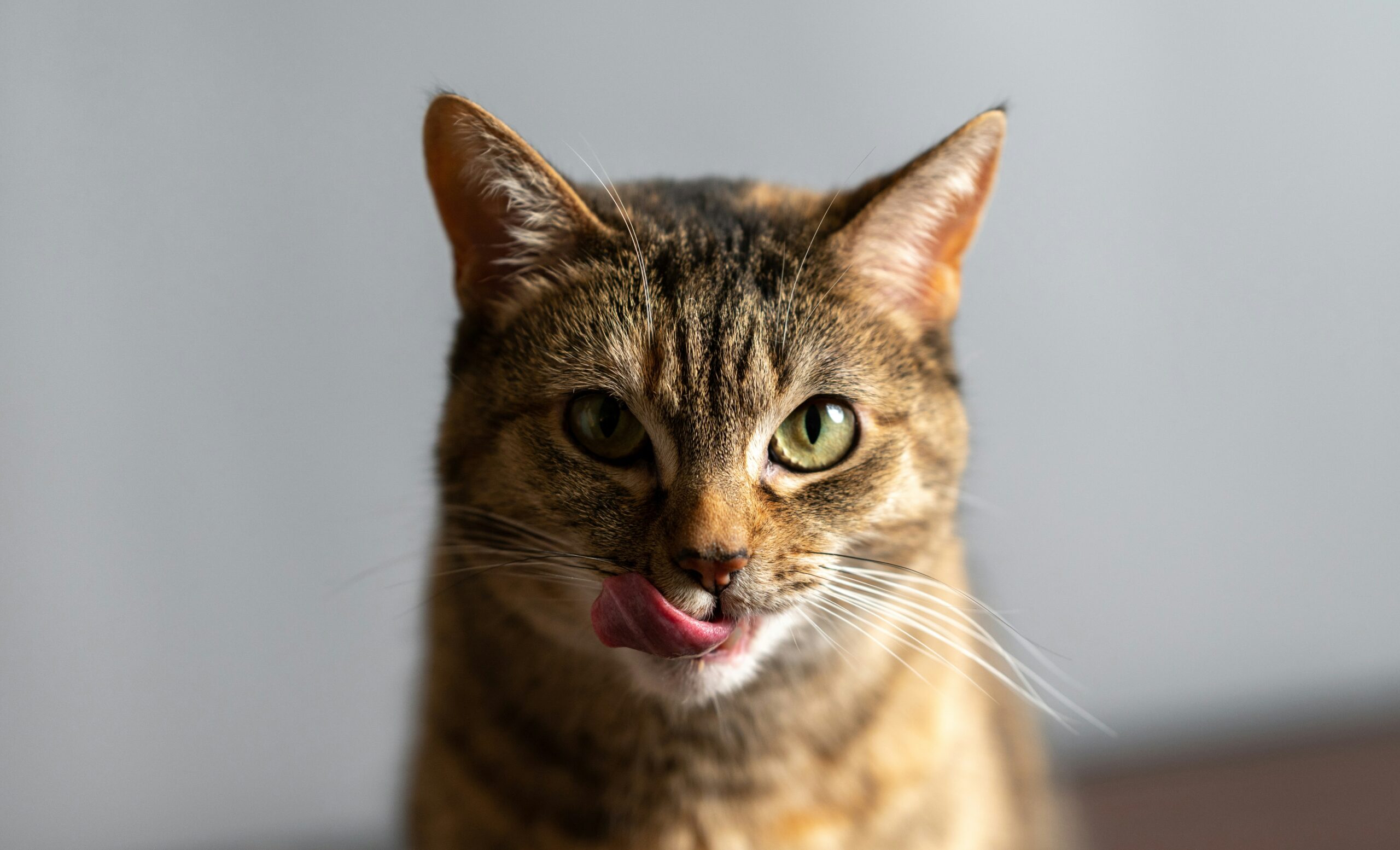 nathan anderson qqgomo4vpnu unsplash
