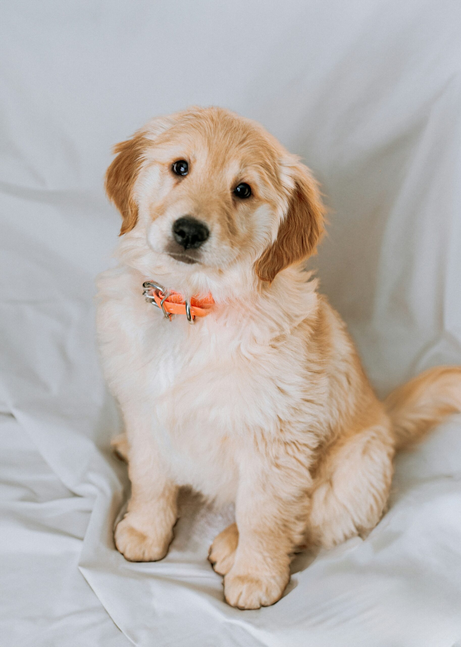 priscilla du preez fp5m2q3m4j0 unsplash