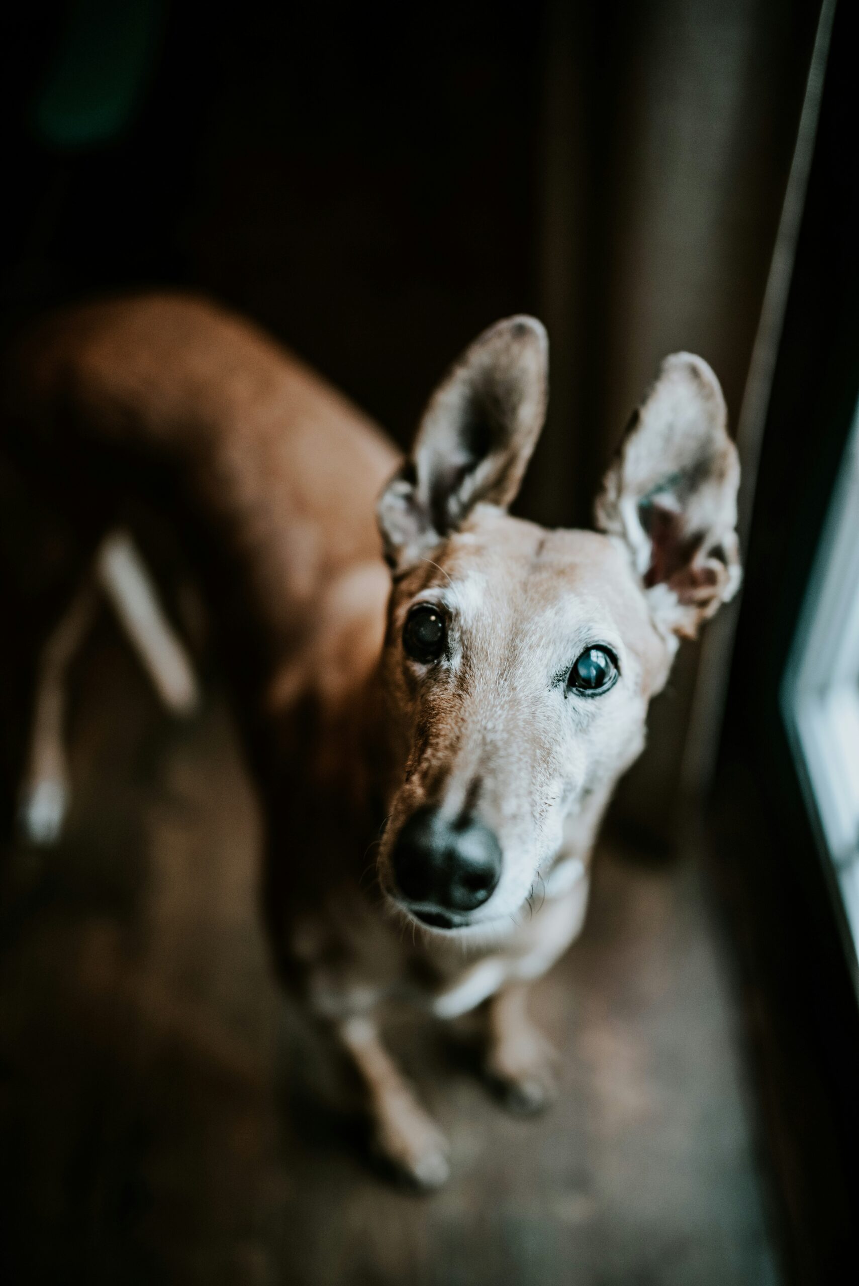 sandra seitamaa tp2dikky7gm unsplash